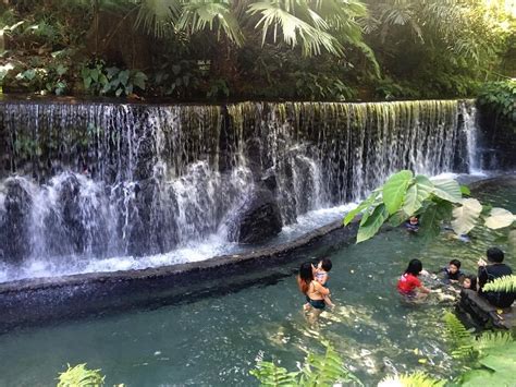 BATO SPRINGS: All You Need to Know BEFORE You Go (with Photos).